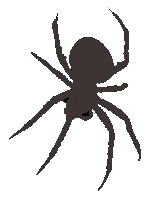 Spindel_hang.png