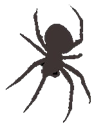 Spindel_hang.png Spindel_hang.png