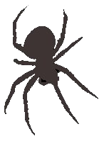 Spindel_hang.png